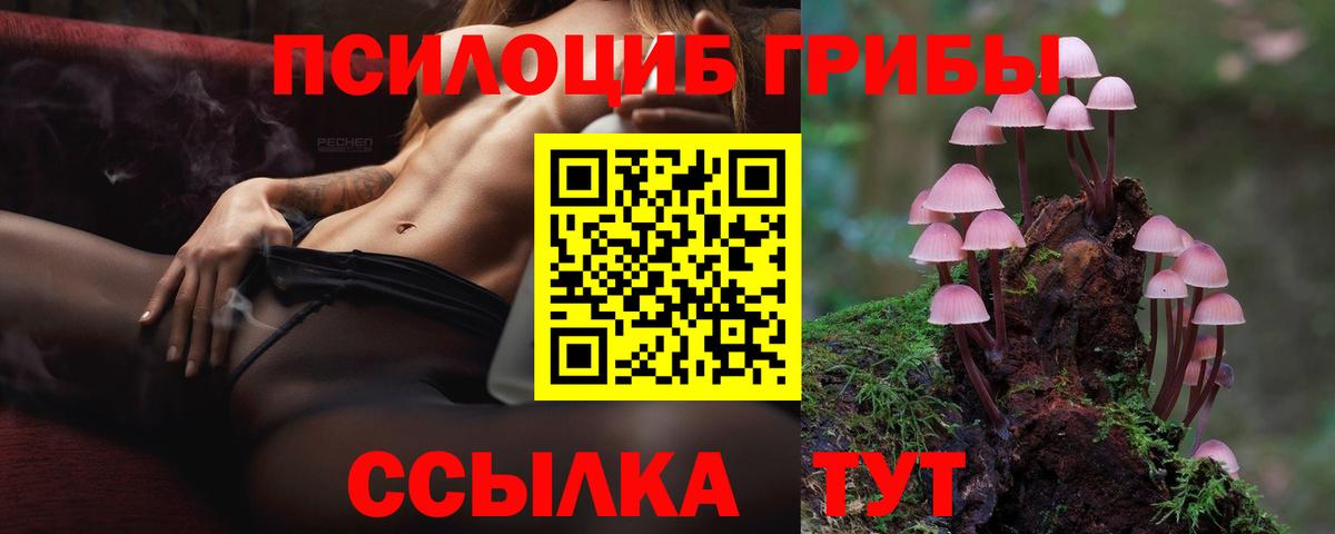 Псилоцибиновые грибы мухоморы  Галлюциногенные грибы Psilocybe  Каменск-Шахтинский  Вход с VPN 